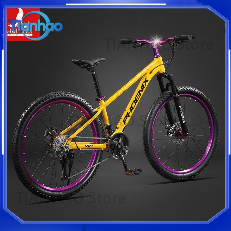 Vélo de montagne en alliage d' - Mountain Biking Phoenix avis et prix