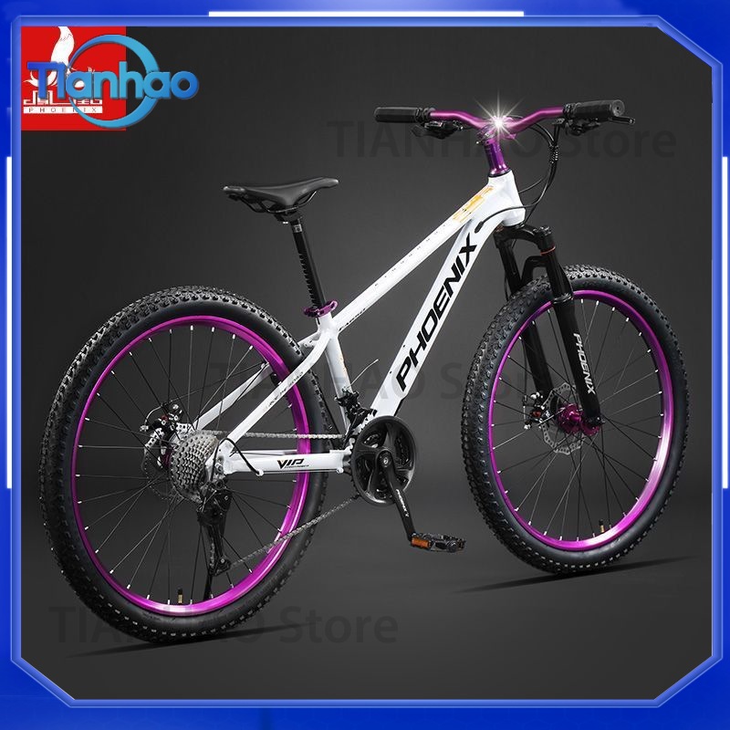 Vélo de montagne en alliage d' - Mountain Biking Phoenix avis et prix