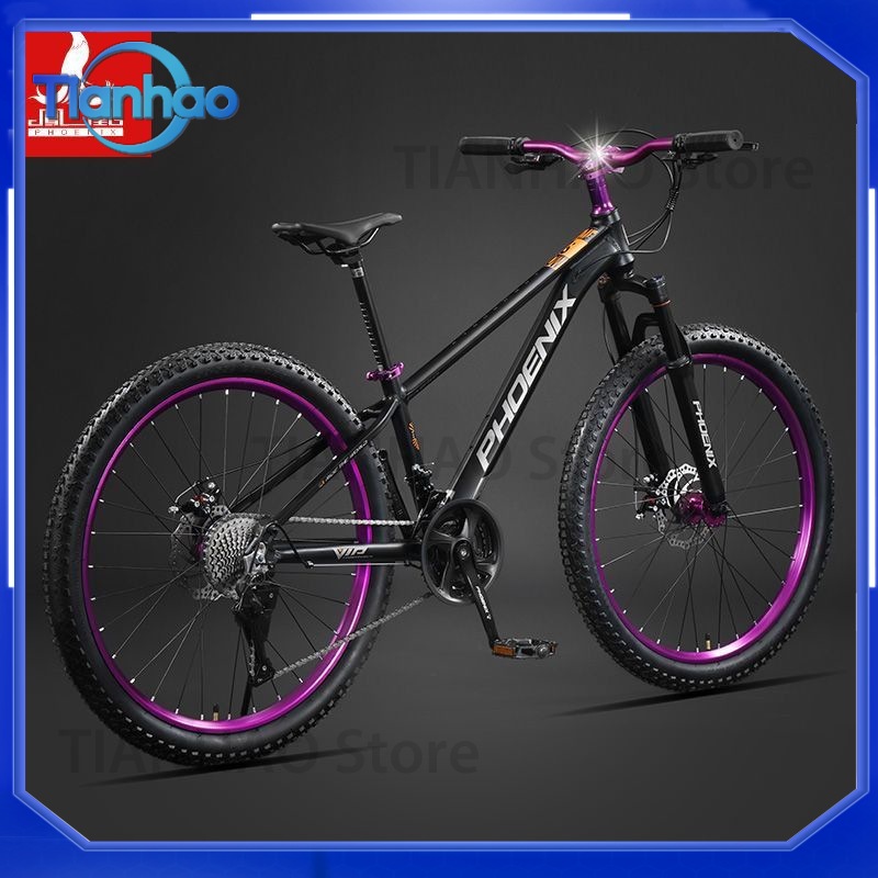 Vélo de montagne en alliage d' - Mountain Biking Phoenix avis et prix