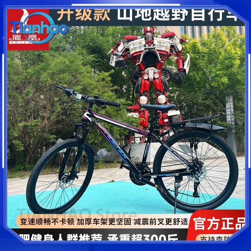 Vélo de montagne pour Shanghai - Mountain Biking Phoenix avis et prix